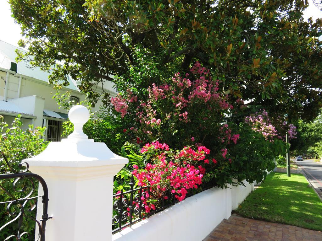 Fynbos Villa Guest House Stellenbosch Buitenkant foto