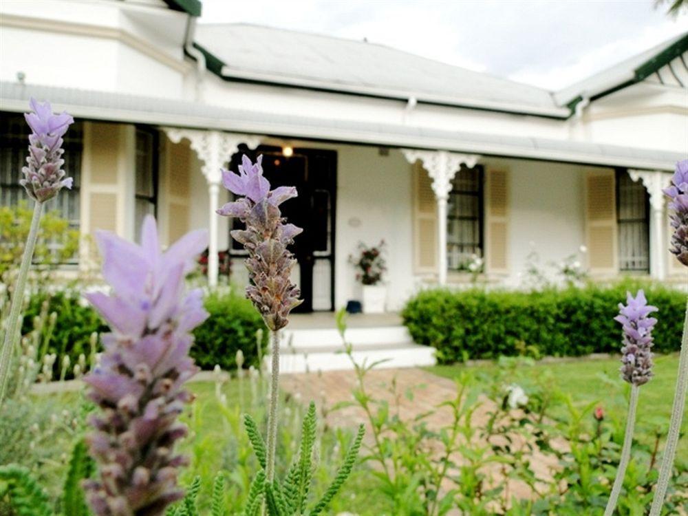 Fynbos Villa Guest House Stellenbosch Buitenkant foto